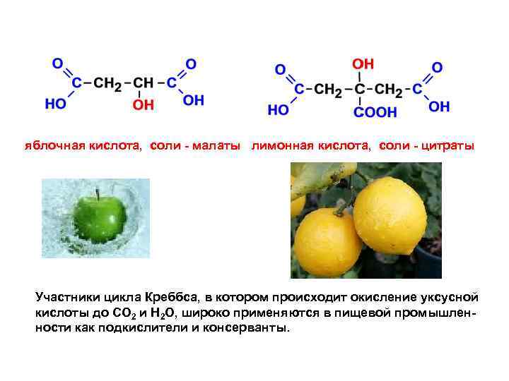 яблочная кислота, соли - малаты лимонная кислота, соли - цитраты Участники цикла Креббса, в