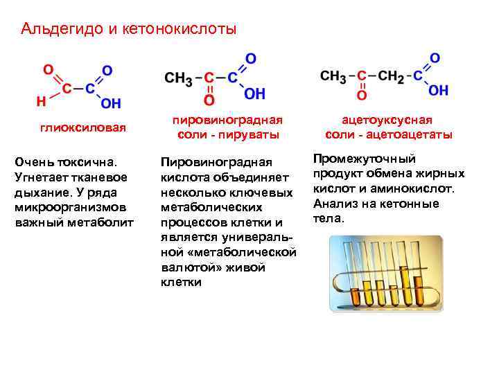 Пировиноградная кислота формула. Альдегидо и кетонокислоты. Глиоксиловая, пировиноградная, ацетоуксусная кислоты. Глиоксиловая кислота структурная формула. Альдегидо- и кетокислоты строение.