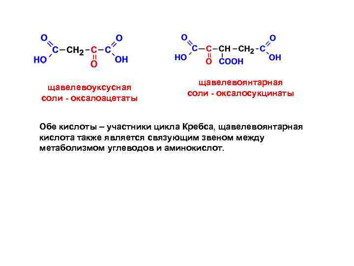 щавелевоуксусная соли - оксалоацетаты щавелевоянтарная соли - оксалосукцинаты Обе кислоты – участники цикла Кребса,