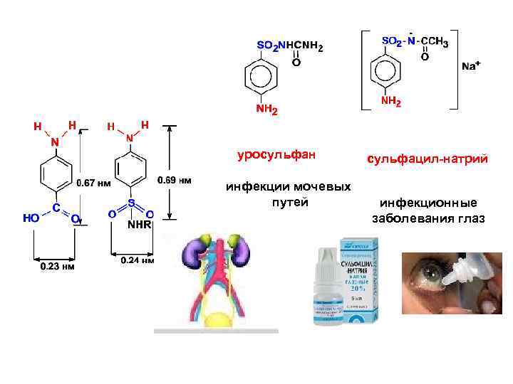 Химия биомолекул и наносистем Лекция 1 2012