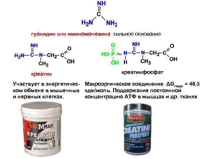 гуанидин или иминомочевина сильное основание креатинфосфат Участвует в энергетичес- Макроэргическое соединение ΔGгидр. = 40,