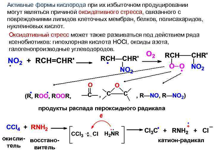 Образованные активные. Активные формы кислорода образуются. Схема образования активных форм кислорода. Генерация активных форм кислорода. Биологическая роль активных форм кислорода биохимия.