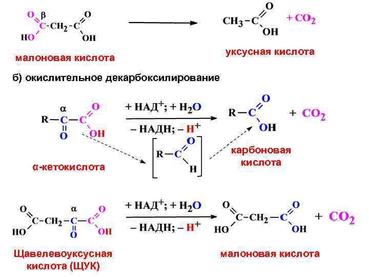 Малоновая кислота формула