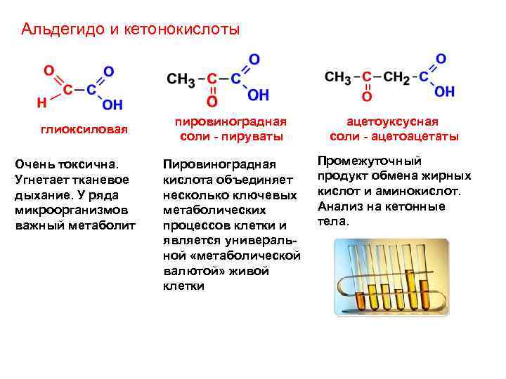 Молекула пировиноградной кислоты. Альдегидо и кетонокислоты. Альдегидо и кетокислоты номенклатура. Глиоксиловая кислота биологическая роль. Строение глиоксиловой кислоты.