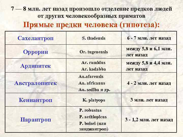 7 — 8 млн. лет назад произошло отделение предков людей от других человекообразных приматов