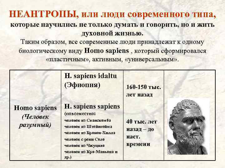 НЕАНТРОПЫ, или люди современного типа, которые научились не только думать и говорить, но и