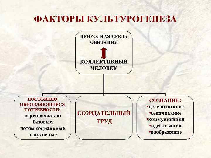 Культура как явление общественной жизни план