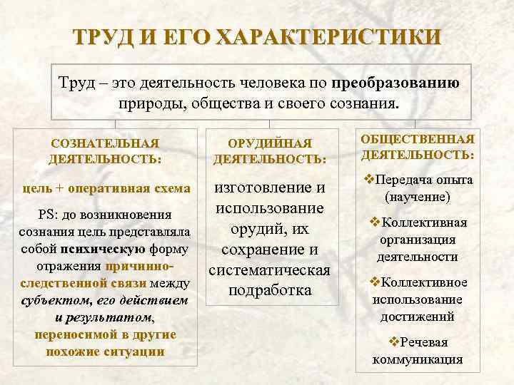 ТРУД И ЕГО ХАРАКТЕРИСТИКИ Труд – это деятельность человека по преобразованию природы, общества и