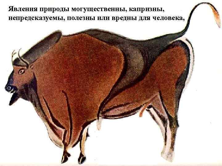 Явления природы могущественны, капризны, непредсказуемы, полезны или вредны для человека, 