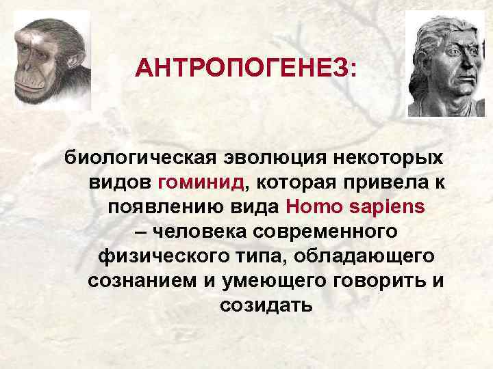 АНТРОПОГЕНЕЗ: биологическая эволюция некоторых видов гоминид, которая привела к появлению вида Homo sapiens –