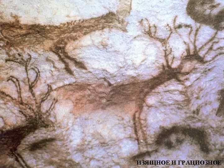 ИЗЯЩНОЕ И ГРАЦИОЗНОЕ 