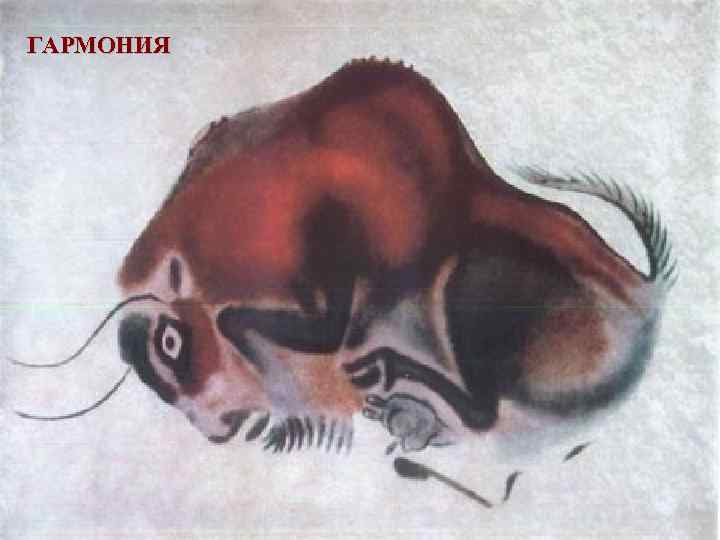 ГАРМОНИЯ 
