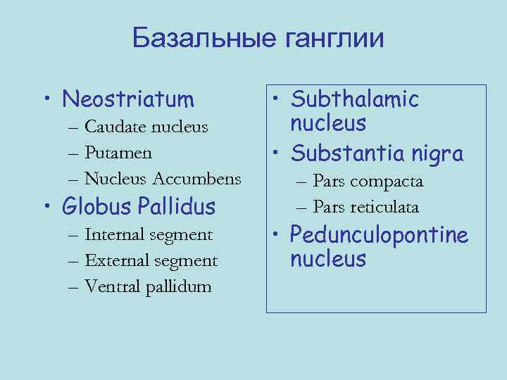 Базальные ганглии • Neostriatum – Caudate nucleus – Putamen – Nucleus Accumbens • Globus