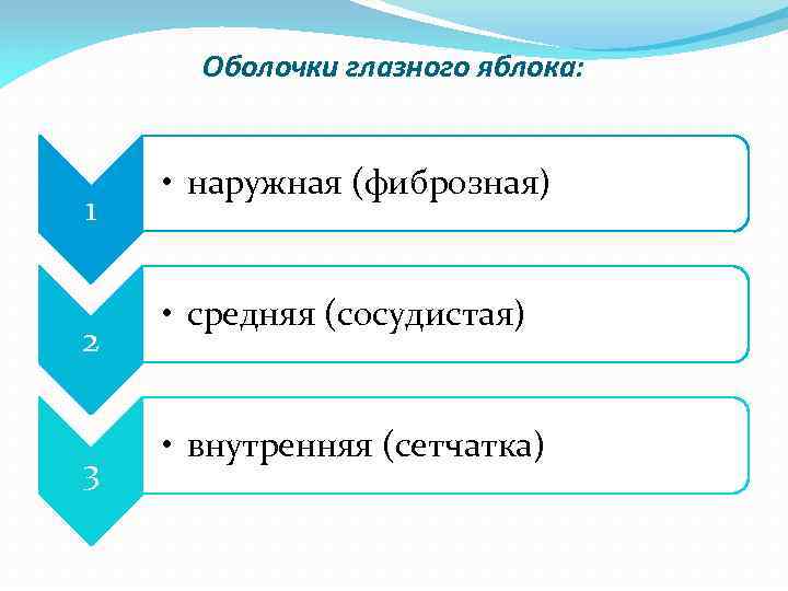 Оболочки глазного яблока: 1 2 3 • наружная (фиброзная) • средняя (сосудистая) • внутренняя