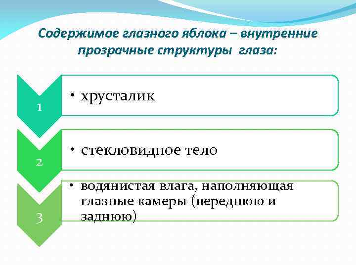 Содержимое глазного яблока – внутренние прозрачные структуры глаза: 1 2 3 • хрусталик •