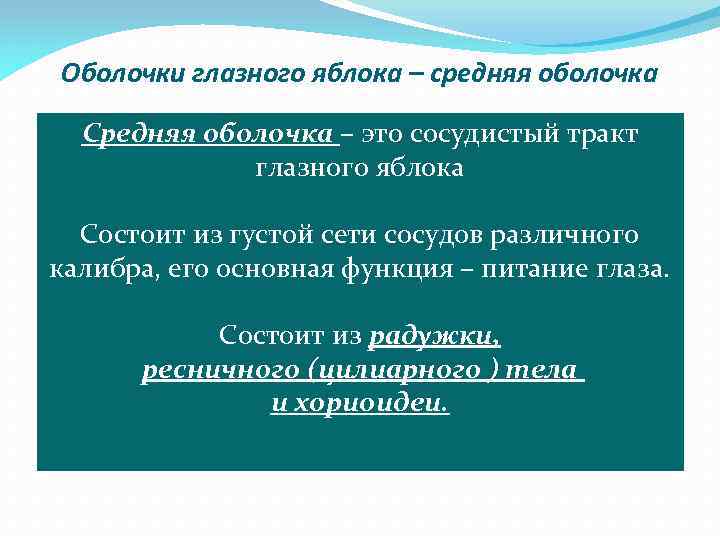 Оболочки глазного яблока – средняя оболочка Средняя оболочка – это сосудистый тракт глазного яблока