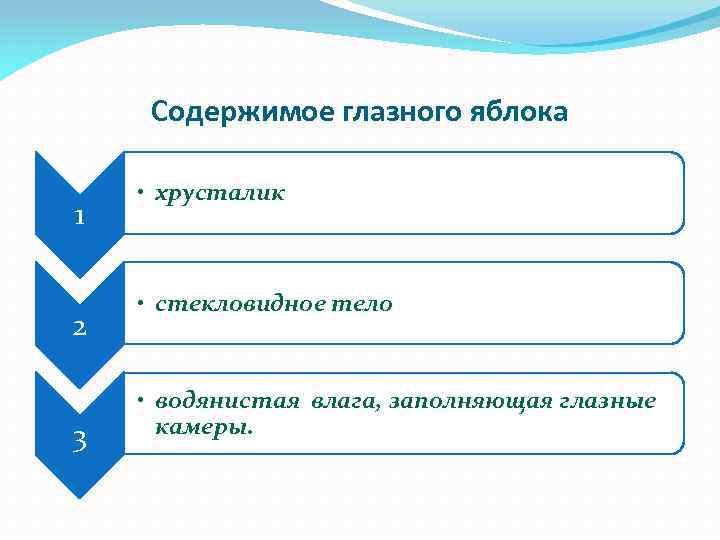 Содержимое глазного яблока 1 2 3 • хрусталик • стекловидное тело • водянистая влага,