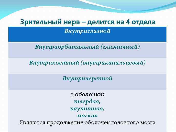 Зрительный нерв – делится на 4 отдела Внутриглазной Внутриорбитальный (глазничный) Внутрикостный (внутриканальцевый) Внутричерепной 3