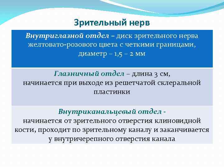 Зрительный нерв Внутриглазной отдел – диск зрительного нерва желтовато-розового цвета с четкими границами, диаметр