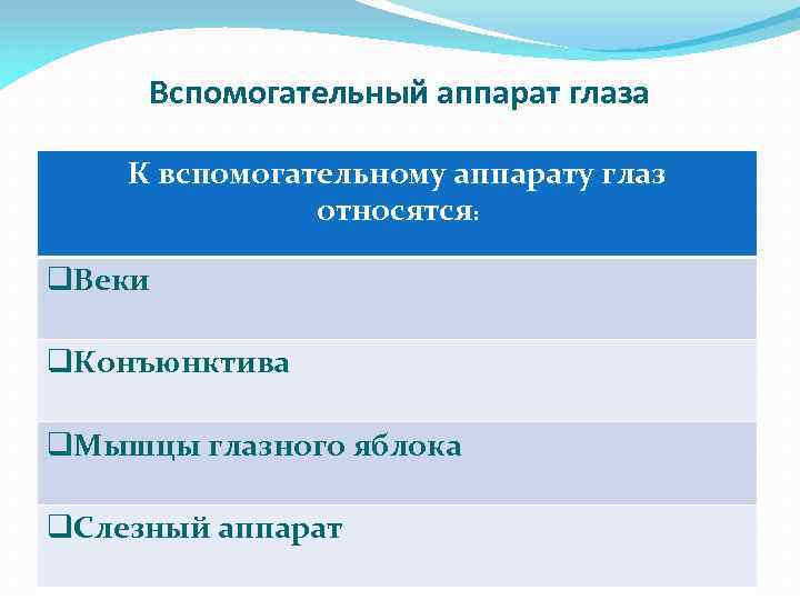 Вспомогательный аппарат глаза К вспомогательному аппарату глаз относятся: q. Веки q. Конъюнктива q. Мышцы