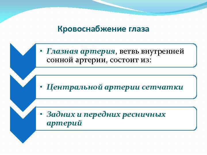 Кровоснабжение глаза • Глазная артерия, ветвь внутренней сонной артерии, состоит из: • Центральной артерии