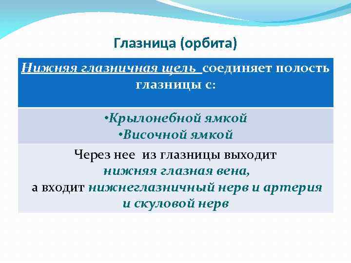 Глазница (орбита) Нижняя глазничная щель соединяет полость глазницы с: • Крылонебной ямкой • Височной