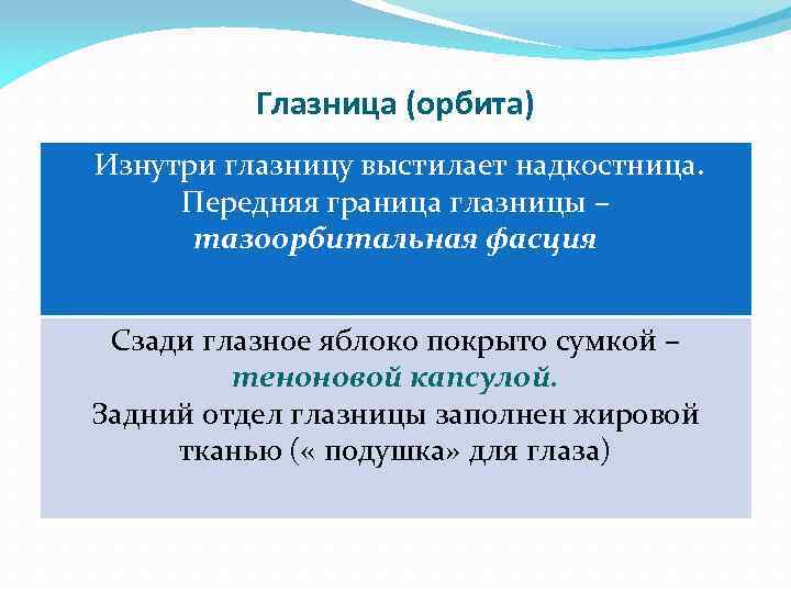 Глазница (орбита) Изнутри глазницу выстилает надкостница. Передняя граница глазницы – тазоорбитальная фасция Сзади глазное