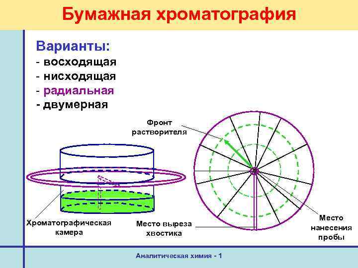 Бумажная хроматография Варианты: - восходящая - нисходящая - радиальная - двумерная Фронт растворителя Хроматографическая