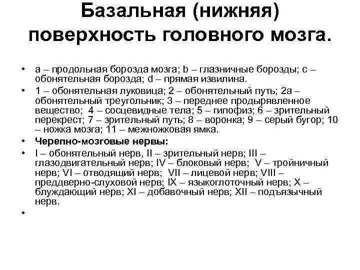 Базальная (нижняя) поверхность головного мозга. • а – продольная борозда мозга; b – глазничные