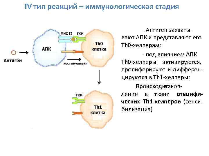 Астро хелпер