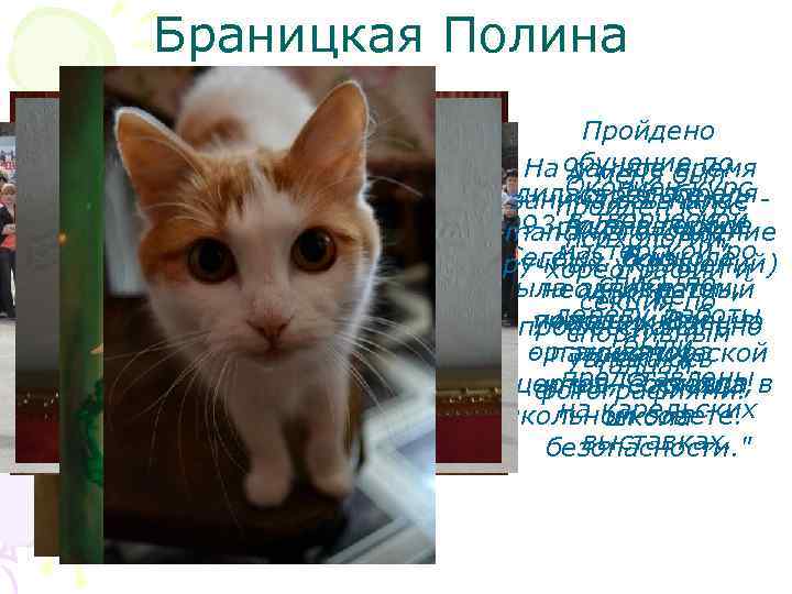 Браницкая Полина Пройдено На обучение по данное был У меня время Окончен курс Родилась