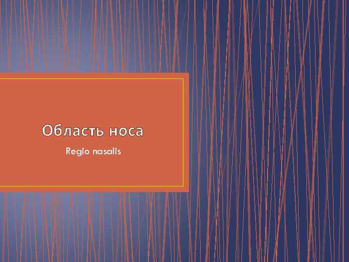 Область носа Regio nasalis 