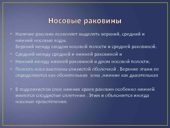 Носовые раковины • Наличие раковин позволяет выделять верхний, средний и нижний носовые ходы. Верхний