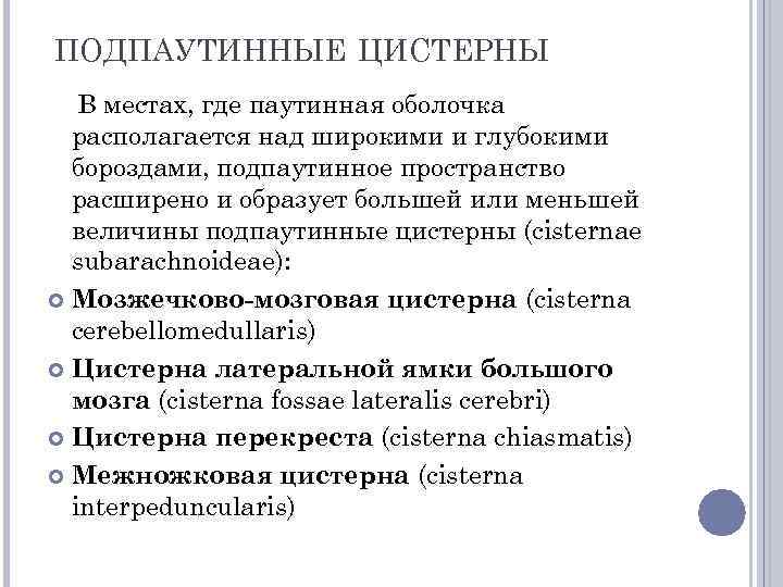 ПОДПАУТИННЫЕ ЦИСТЕРНЫ В местах, где паутинная оболочка располагается над широкими и глубокими бороздами, подпаутинное