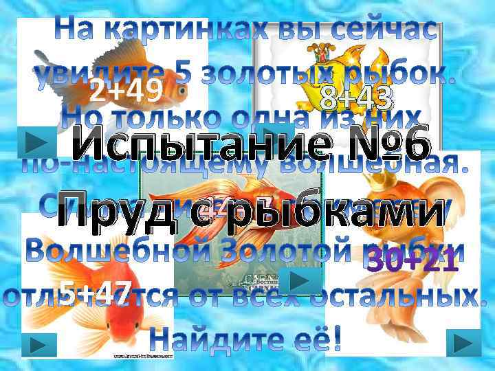 2+49 8+43 Испытание № 6 44+7 Пруд с рыбками 5+47 