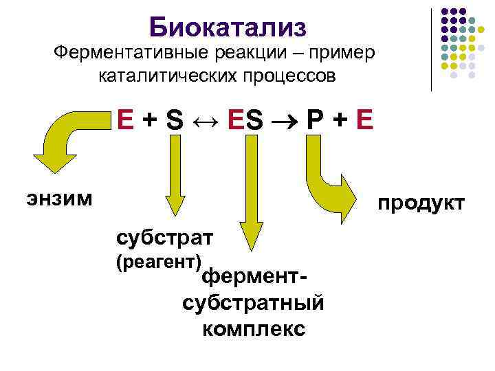 Схема ферментативной реакции