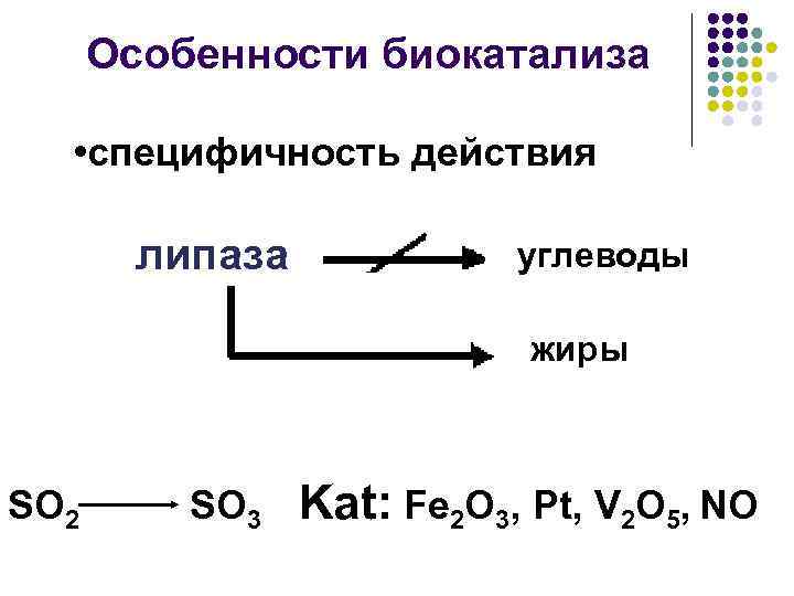 Особенности биокатализа • специфичность действия липаза углеводы жиры SO 2 SO 3 Kat: Fe