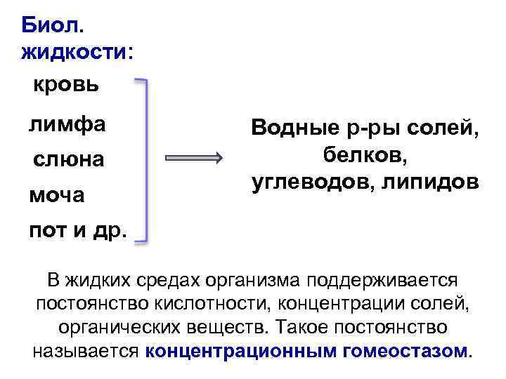 Биол. жидкости: кровь лимфа слюна моча Водные р-ры солей, белков, углеводов, липидов пот и