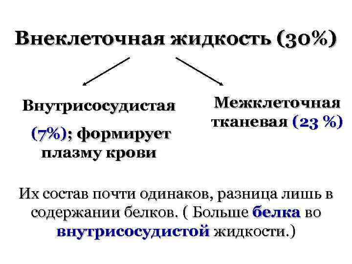 Внеклеточная жидкость (30%) Внутрисосудистая (7%); формирует плазму крови Межклеточная тканевая (23 %) Их состав