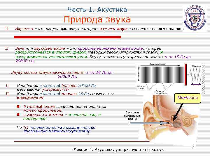 Часть 1. Акустика Природа звука o Акустика – это раздел физики, в котором изучают