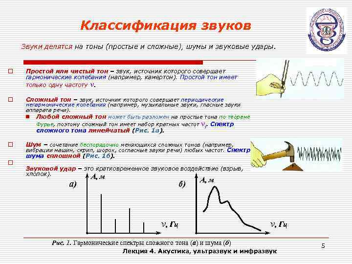 Виды звуков. Простой и сложный тон звука. Виды звуков физика. Виды тонов звука. Звуки тоны шумы звуковые удары.