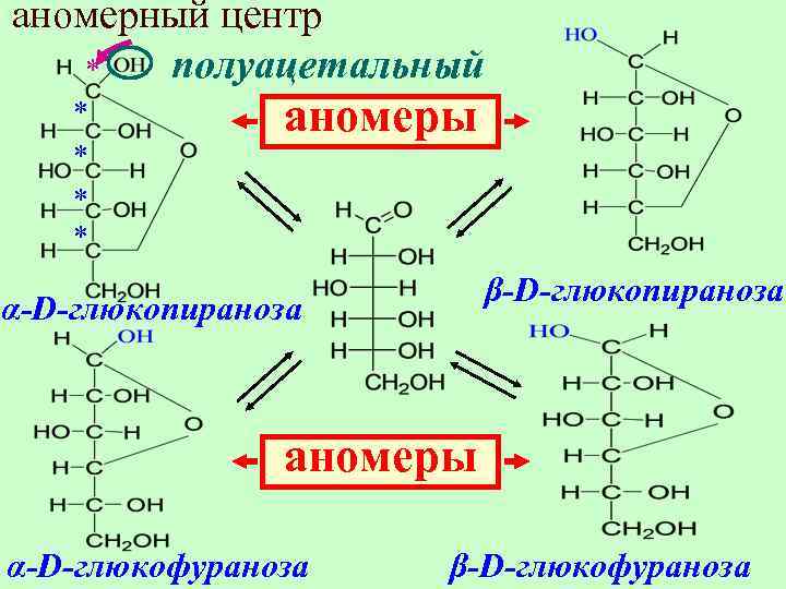 Функциональные группы моносахаридов