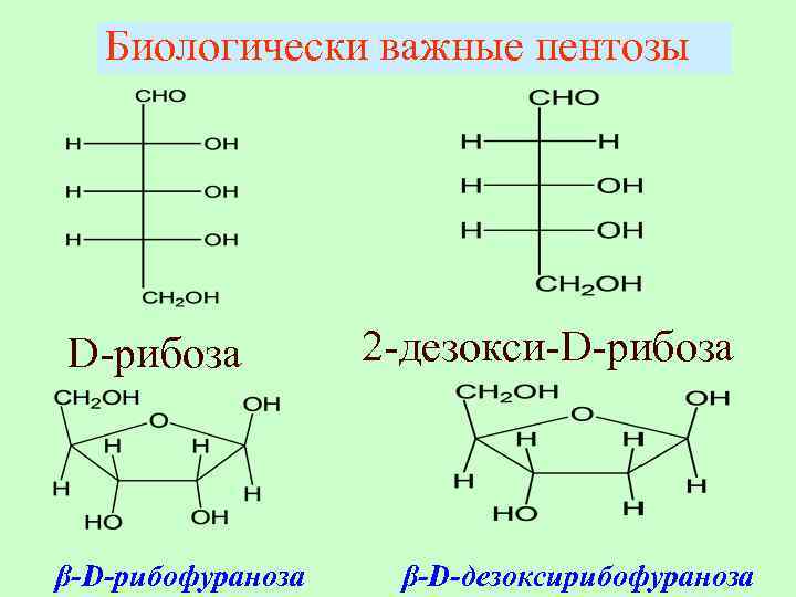 Рибоза рисунок. 2-Дезокси-d-рибоза. Строение пентозы. Рибоза циклическая формула. 2-Дезокси-d-Глюкоза.