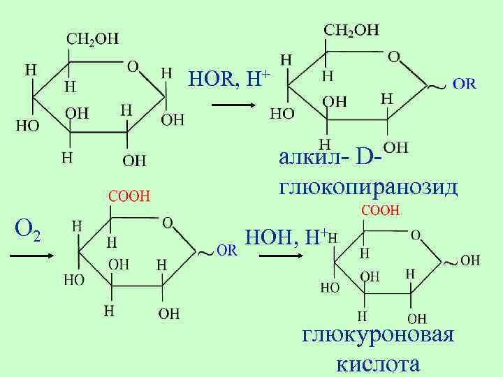 Глюкуроновая кислота для чего. Глюкопираноза + глюкуроновая. Бета д глюкуроновая кислота. Альфа d – глюкуроновая кислота. Глюкуроновая кислота строение.