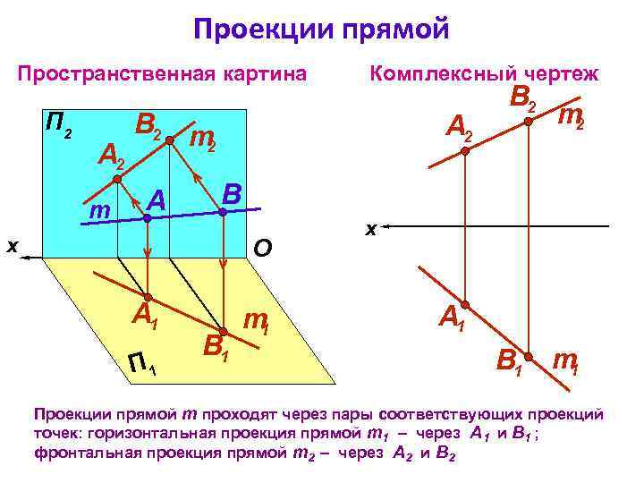 Проекции прямой Пространственная картина П 2 А 2 m Комплексный чертеж В 2 m