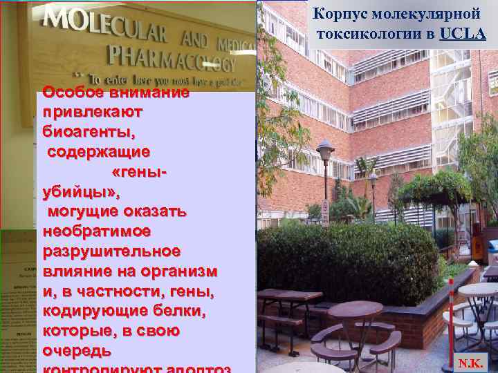 Корпус молекулярной токсикологии в UCLA Особое внимание привлекают биоагенты, содержащие «геныубийцы» , могущие оказать