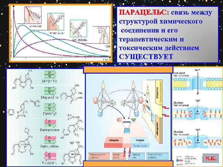 ПАРАЦЕЛЬС: связь между ПАРАЦЕЛЬС: структурой химического соединения и его терапевтическим и токсическим действием СУЩЕСТВУЕТ
