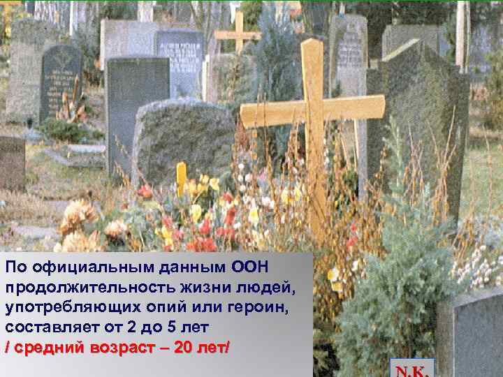 По официальным данным ООН продолжительность жизни людей, употребляющих опий или героин, составляет от 2