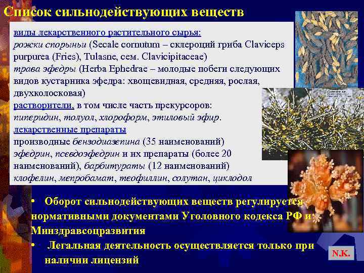 Список сильнодействующих веществ виды лекарственного растительного сырья: рожки спорыньи (Secale cornutum – склероций гриба