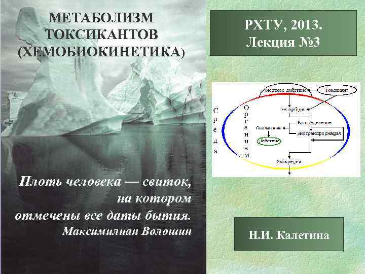МЕТАБОЛИЗМ ТОКСИКАНТОВ (ХЕМОБИОКИНЕТИКА) РХТУ, 2013. Лекция № 3 Плоть человека — свиток, на котором